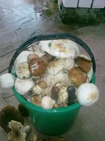 04082013559.webp
