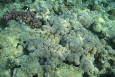  322 (9).webp