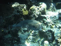  322 (15).webp