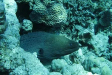  322 (12).webp