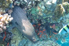  322 (17).webp