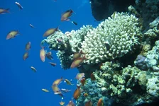  322 (21).webp
