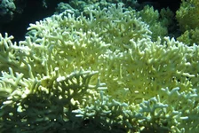  322 (22).webp