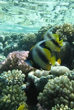  322 (23).webp