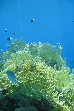  322 (28).webp