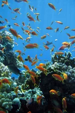  322 (40).webp