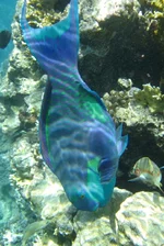  322 (33).webp