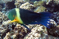  322 (59).webp