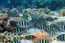  322 (63).webp