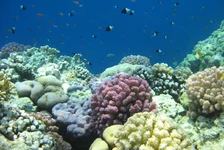  322 (54).webp