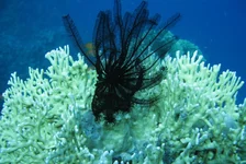  322 (56).webp