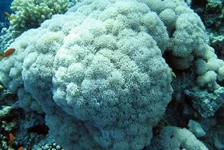  322 (46).webp