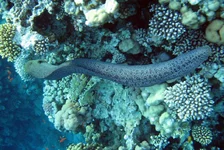  322 (61).webp