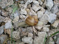 P7192854.webp
