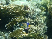  053.webp