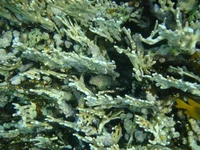  084.webp