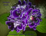 070820133193.webp
