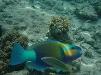  178.webp