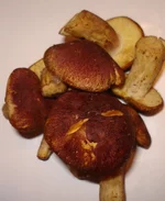 DSC07065.JPG