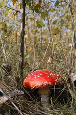DSC_0838.webp