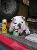 -Ксена 017.webp