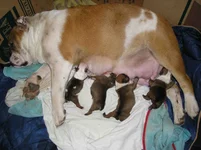 -Ксена 020.webp