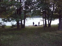 PIC_0035.webp