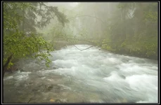 CRW_6092.webp