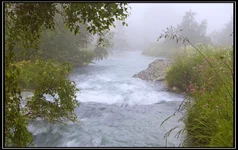 CRW_6130.webp