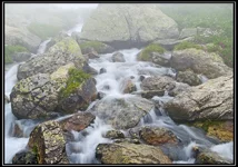 CRW_6430.webp