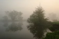 tuman_5.webp