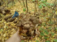 DSC00344_resize.webp