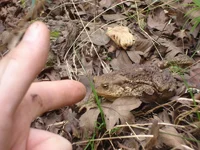 DSC00331_resize.webp