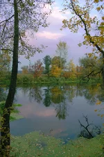 october2.webp