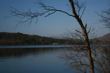 IMG_0768.jpg