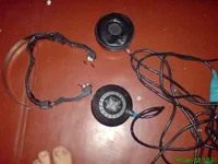 DSC01870.webp
