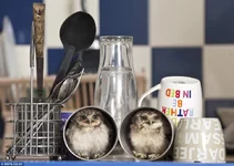 xd1PvO_QnBQ.webp