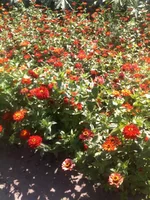 090820131943.webp