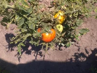 090820131947.webp