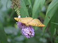 IMG_0302-1.webp