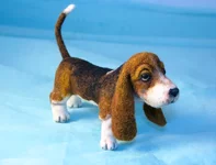 dog-4-2.webp