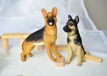 dog-9-3.webp