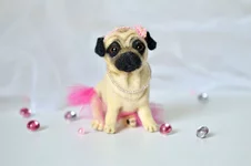 dog-6-1.webp