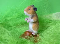 hamster-2-7.webp