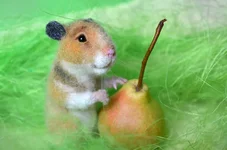 hamster-2-12.webp