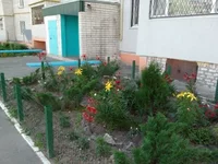 клумба.jpg