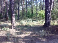 10082013570.webp