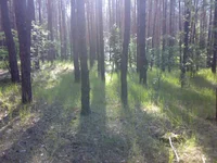 10082013571.webp