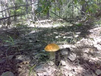 10082013574.webp