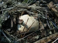 DSCN0417.webp